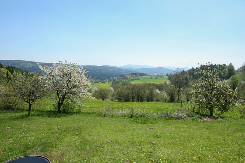 fuchsenschleife-45.jpg
