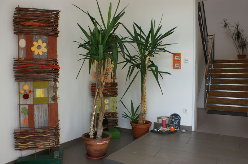 Dsc05172