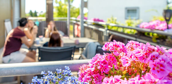 Blühende Geranien im Blumenkasten auf der Dachterrasse der Dr. Loew Einrichtung Jugendbetreuung