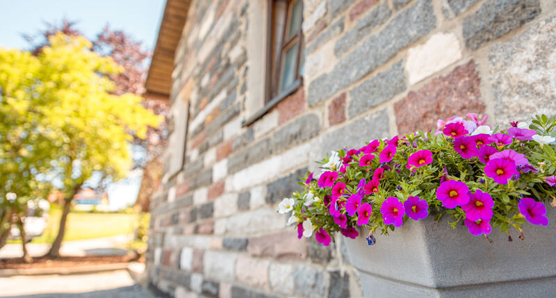 Natursteinfassade des Hauses Zwiesel mit blühenden Blumen im Außenbereich